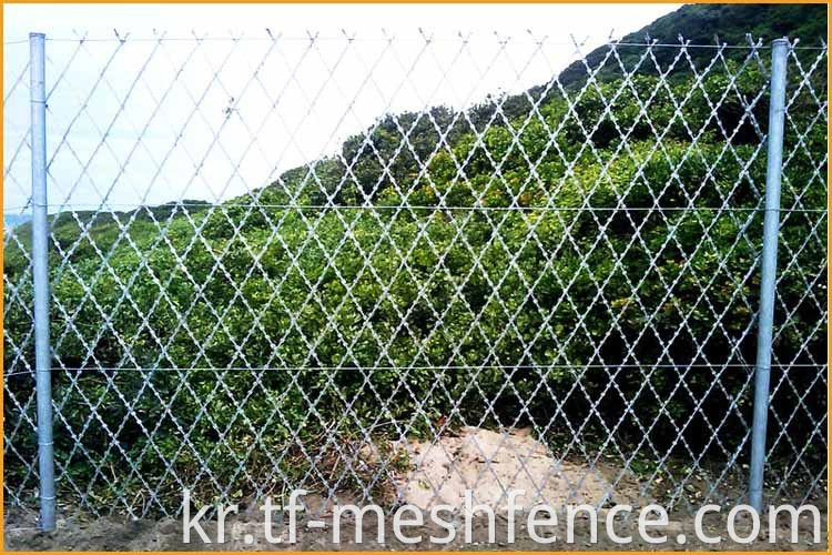 welded concertina razor wire mesh 1